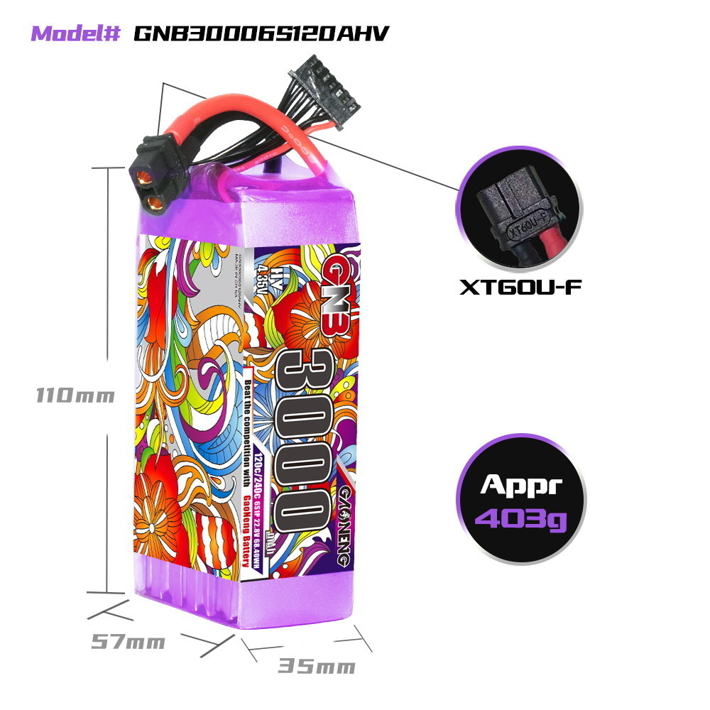 GNB リポバッテリー 6S 22.8V 3000mAh 5 - Drone Battery Lipo のレビューと価格